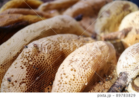 Light brown Honey combs and detail. Light brown Honey combs and detail. 89783829