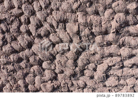 Dirt wall texture 89783892