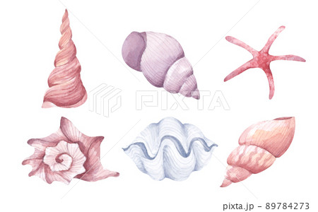 Collection of seashells. Isolated on white background. Watercolor illustration. 89784273