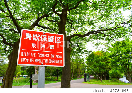 鳥獣保護区 89784643