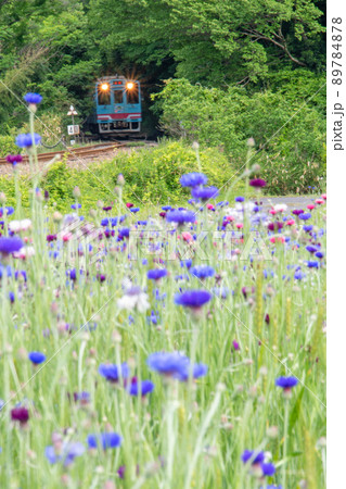 新緑のトンネルを抜けてきた樽見鉄道の列車 新緑のトンネルを抜けてきた樽見鉄道の列車 89784878