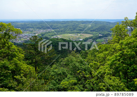 日和田山より巾着田 89785089