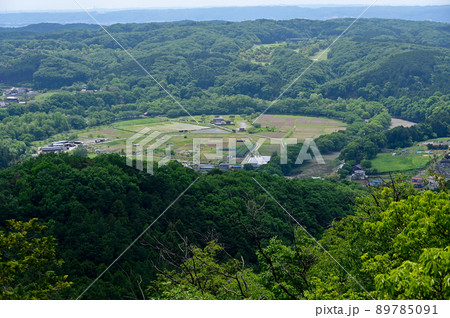 日和田山より巾着田 89785091
