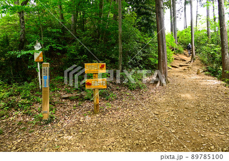 日和田山 89785100