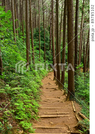 日和田山女坂 89785102