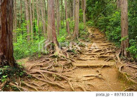 日和田山女坂 89785103