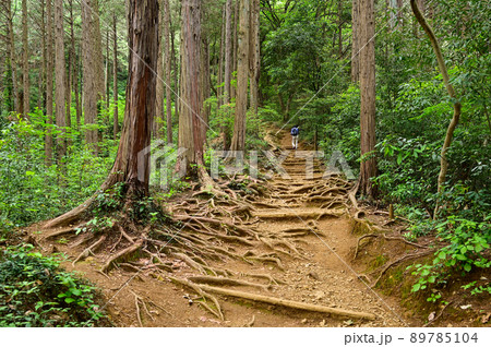 日和田山女坂 日和田山女坂 89785104