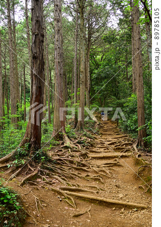 日和田山女坂 日和田山女坂 89785105