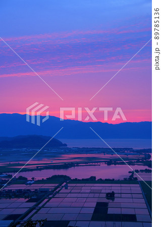 能登川水田夕照 89785136