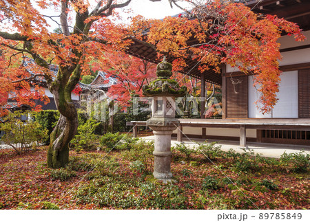 京都常寂光寺 京都の紅葉名所 京都の観光スポット 京都嵐山嵯峨野 京都常寂光寺 京都の紅葉名所 京都の観光スポット 京都嵐山嵯峨野 89785849