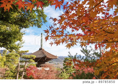 京都常寂光寺　京都の紅葉名所　京都の観光スポット　京都嵐山嵯峨野 89785850