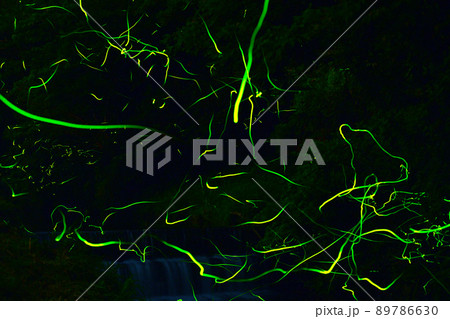 ホタルの光が乱舞する 鳥川ホタルの里 89786630