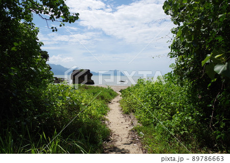 マレーシア ボルネオ島 サラワク州クチンのバコ国立公園 マレーシア ボルネオ島 サラワク州クチンのバコ国立公園 89786663