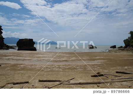 マレーシア　ボルネオ島　サラワク州クチンのバコ国立公園 89786666