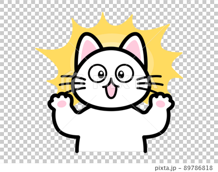 Surprised cat 89786818