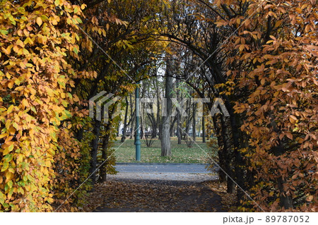Alley with yellow red covered pergola. Alley with yellow red covered pergola. 89787052