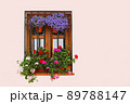 窓枠にある花壇 89788147
