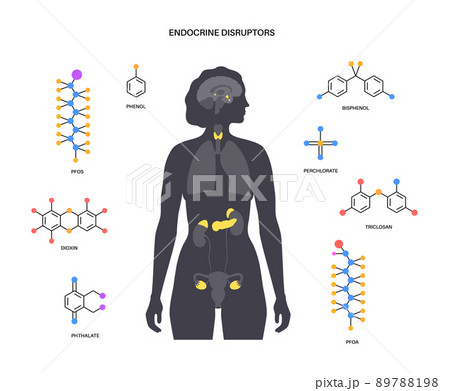 Endocrine disruptors poster Endocrine disruptors poster 89788198