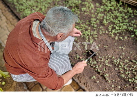 Top view of man shaking ground with seedlings Top view of man shaking ground with seedlings 89788749
