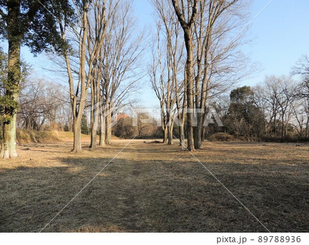 菅谷館跡 本郭 菅谷館跡 本郭 89788936