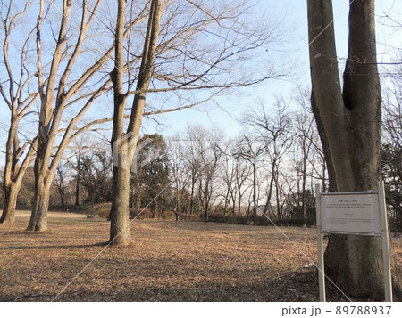 菅谷館跡　本郭 89788937