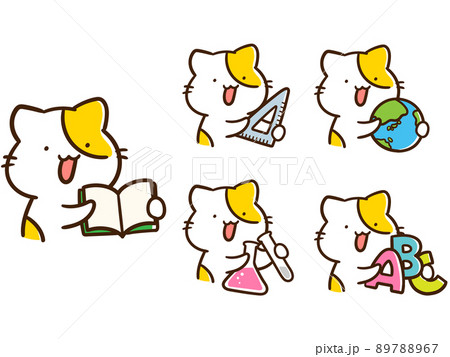 五教科のアイテムを持つかわいいねこのキャラクターの手書き風イラストセット 89788967