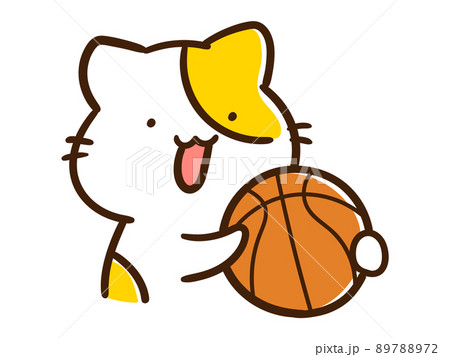バスケットボールを持つかわいいねこのキャラクターの手書き風イラスト バスケットボールを持つかわいいねこのキャラクターの手書き風イラスト 89788972