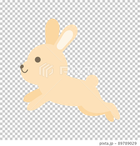 Rabbit to jump Rabbit to jump 89789029