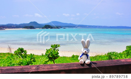うさぎのぬいぐるみ(南国風景バック) うさぎのぬいぐるみ(南国風景バック) 89789758