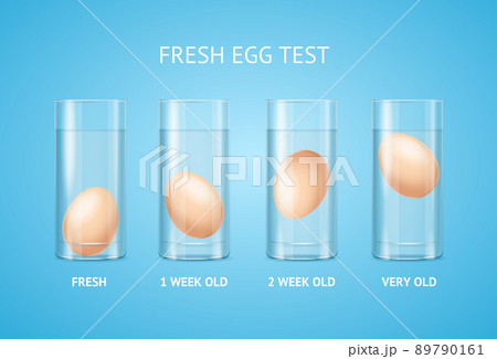 Realistic Detailed 3d Fresh Egg Test Concept. Vector Realistic Detailed 3d Fresh Egg Test Concept. Vector 89790161