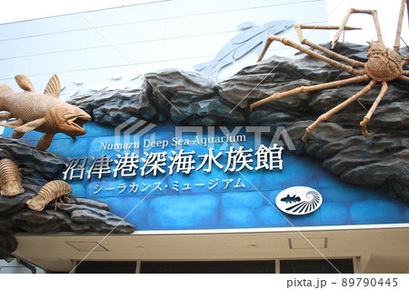 沼津深海魚水族館 89790445