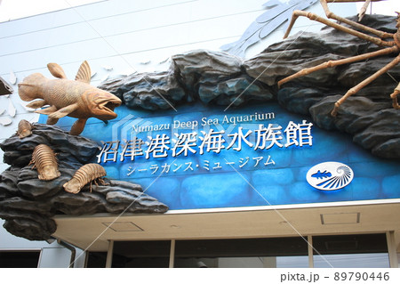 シーラカンスの展示のある沼津深海魚水族館 89790446