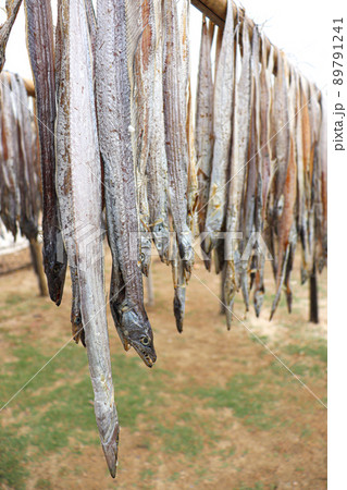 tasty dried and salted fish stock 89791241