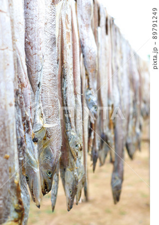tasty dried and salted fish stock tasty dried and salted fish stock 89791249