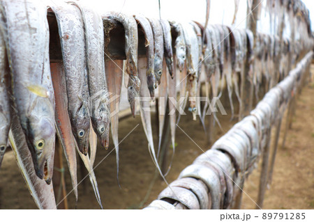 tasty dried and salted fish stock tasty dried and salted fish stock 89791285