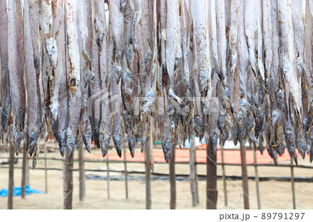 tasty dried and salted fish stock tasty dried and salted fish stock 89791297