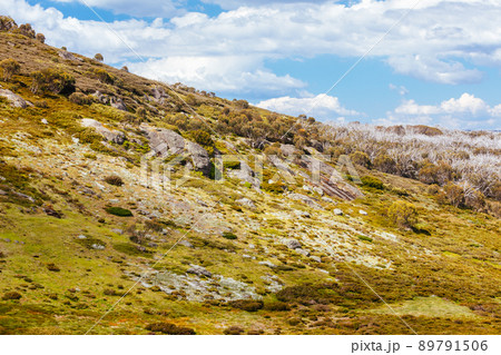 Wallace Hut near Falls Creek in Australia 89791506
