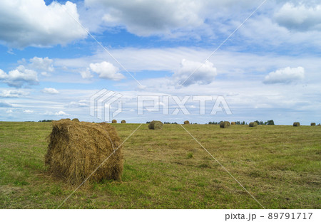 Rural landscape with roll network in field on background blue sky 89791717
