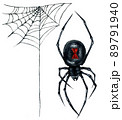 Watercolor Illustration of Black Widow Spider and Web Isolated on White Background. 89791940