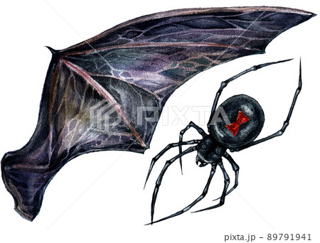 Watercolor Illustration of Black Bat Wing Isolated on White Background. 89791941