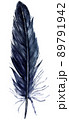Watercolor Crow Black Feather Isolated on White Background. 89791942