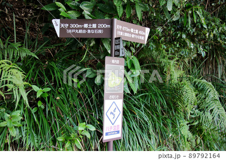 愛媛県宇和島市の史跡宇和島城跡 天守と郷土館 天守・郷土館に至る二つのルートを示す行先案内板 愛媛県宇和島市の史跡宇和島城跡 天守と郷土館 天守・郷土館に至る二つのルートを示す行先案内板 89792164