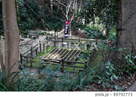 愛媛県宇和島市の史跡宇和島城跡　天守にいたる石段の途中にある井戸丸跡 89792773