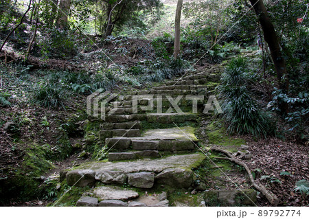 愛媛県宇和島市の史跡宇和島城跡　天守にいたる石段と石垣 89792774