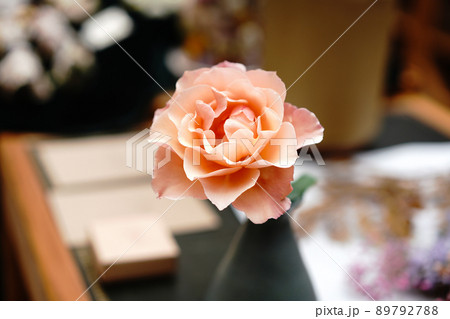 hana flowe 花　 89792788