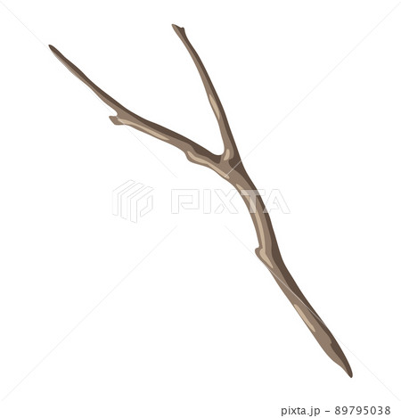 Illustration of dry bare branch. Decorative natural twig. 89795038