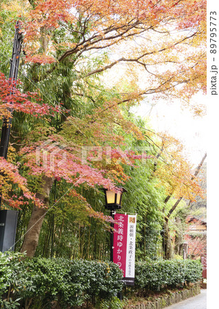 紅葉の名所の静岡県伊豆市修善寺の秋 89795773