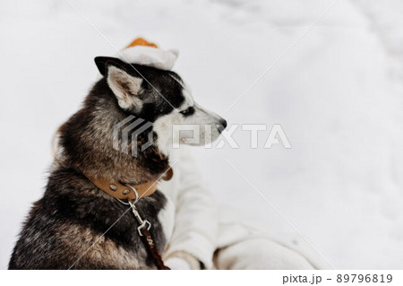 Happy young woman in the snow playing with a dog fun friendship fresh air Happy young woman in the snow playing with a dog fun friendship fresh air 89796819
