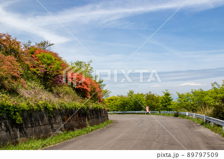 伊香保森林公園　つつじヶ丘 89797509