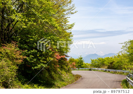 伊香保森林公園　つつじヶ丘 89797512